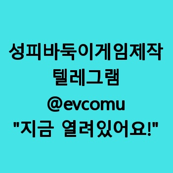 성피바둑이게임제작