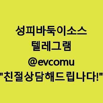 성피바둑이소스