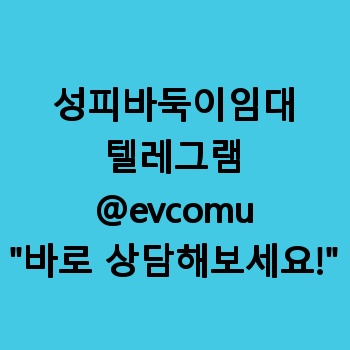 성피바둑이임대