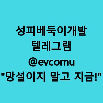 성피베둑이개발