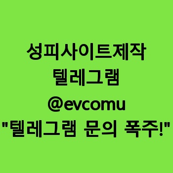 성피사이트제작