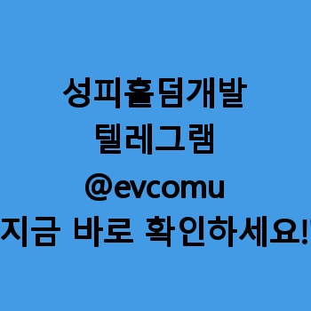 성피홀덤개발