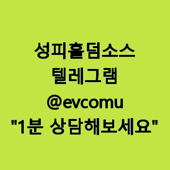 성피홀덤소스