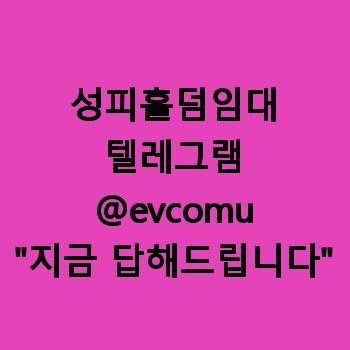 성피홀덤임대