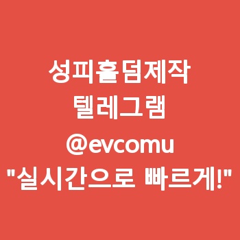 성피홀덤제작