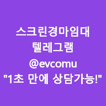 스크린경마임대