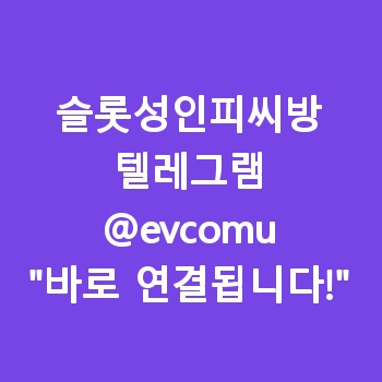 슬롯성인피씨방