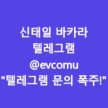 신태일 바카라