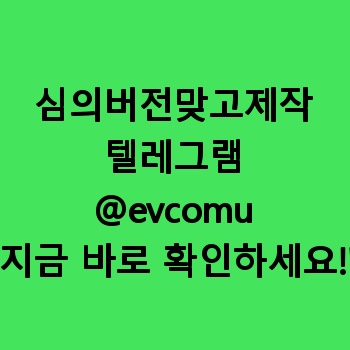 심의버전맞고제작