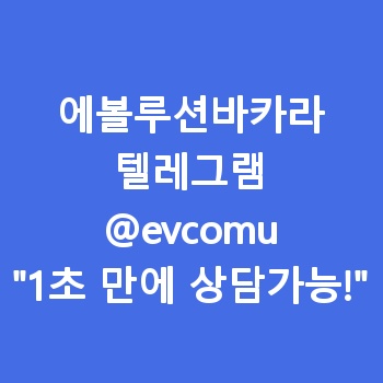 에볼루션바카라