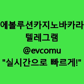 에볼루션카지노바카라