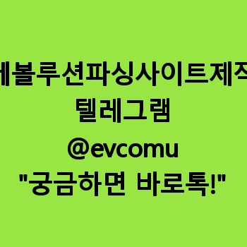 에볼루션파싱사이트제작