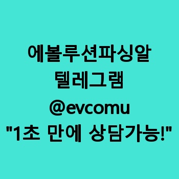 에볼루션파싱알