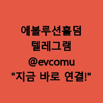 에볼루션홀덤
