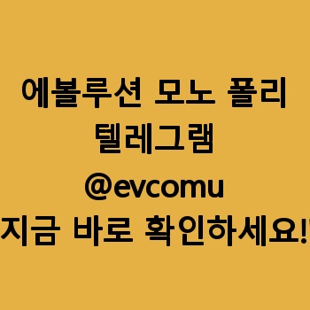 에볼루션 모노 폴리