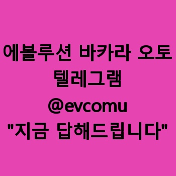 에볼루션 바카라 오토
