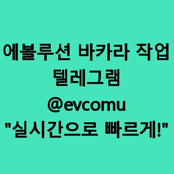 에볼루션 바카라 작업