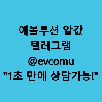 에볼루션 알값
