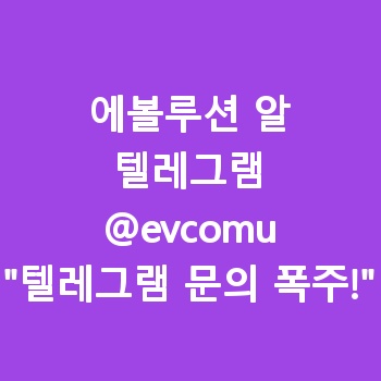 에볼루션 알