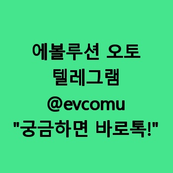 에볼루션 오토
