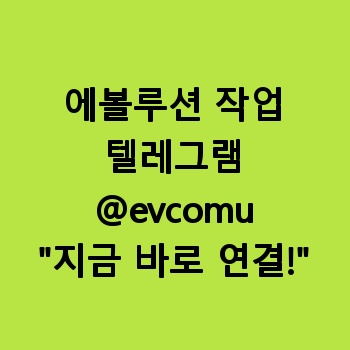 에볼루션 작업
