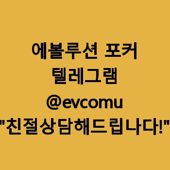 에볼루션 포커