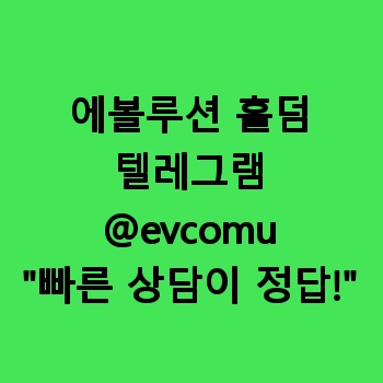 에볼루션 홀덤