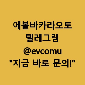 에볼바카라오토
