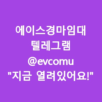 에이스경마임대