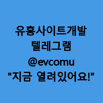 유흥사이트개발