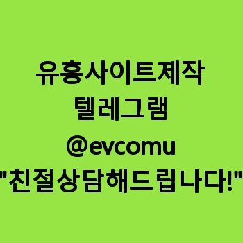 유흥사이트제작
