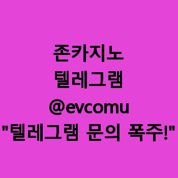존카지노