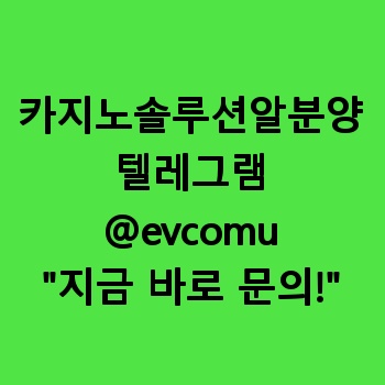 카지노솔루션알분양