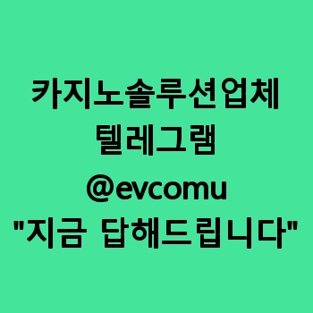 카지노솔루션업체