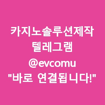 카지노솔루션제작