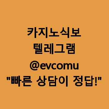 카지노식보
