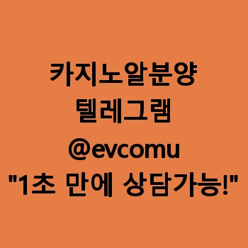 카지노알분양