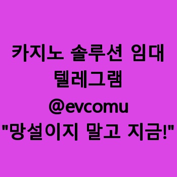 카지노 솔루션 임대
