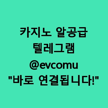 카지노 알공급