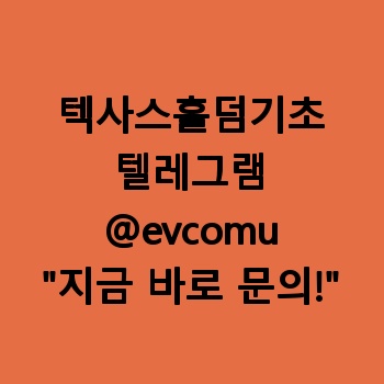텍사스홀덤기초