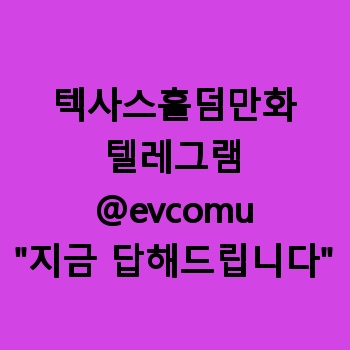 텍사스홀덤만화