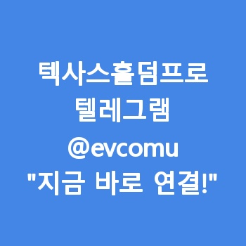 텍사스홀덤프로