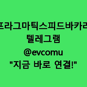 프라그마틱스피드바카라