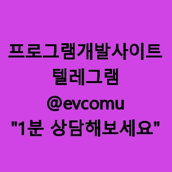 프로그램개발사이트