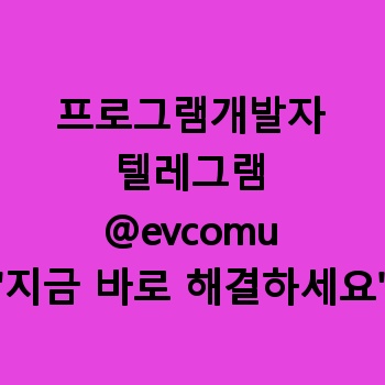 프로그램개발자