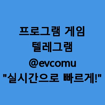 프로그램 게임