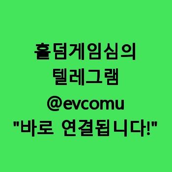 홀덤게임심의