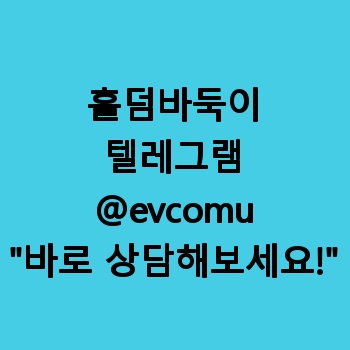 홀덤바둑이