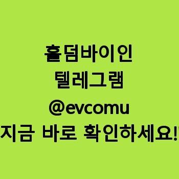 홀덤바이인