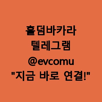 홀덤바카라